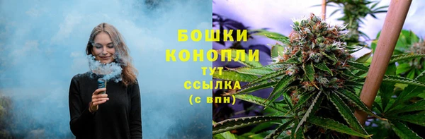 трава Армянск